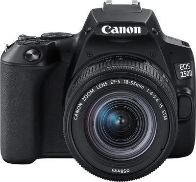 Canon EOS 250D im Test für Einsteiger